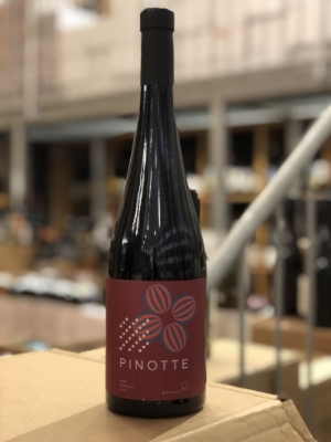 Immagine di Pinotte 2021 Bikicki Serbie