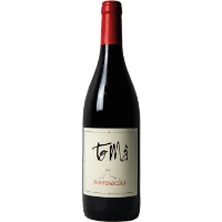 Picture of Tomà red