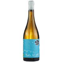 Immagine di Godello